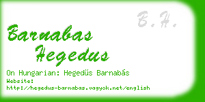 barnabas hegedus business card