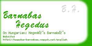 barnabas hegedus business card